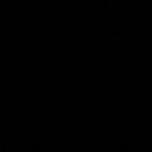 Meet your Posher, Isabella